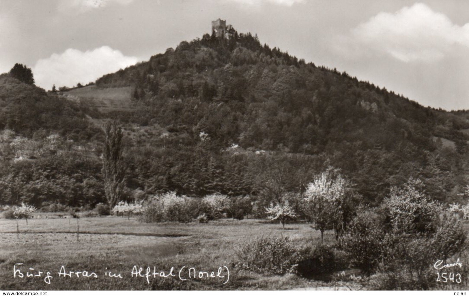 BURG ARRAS IM ALFTAL-MOSEL-REAL PHOTO-1950 - Alf-Bullay