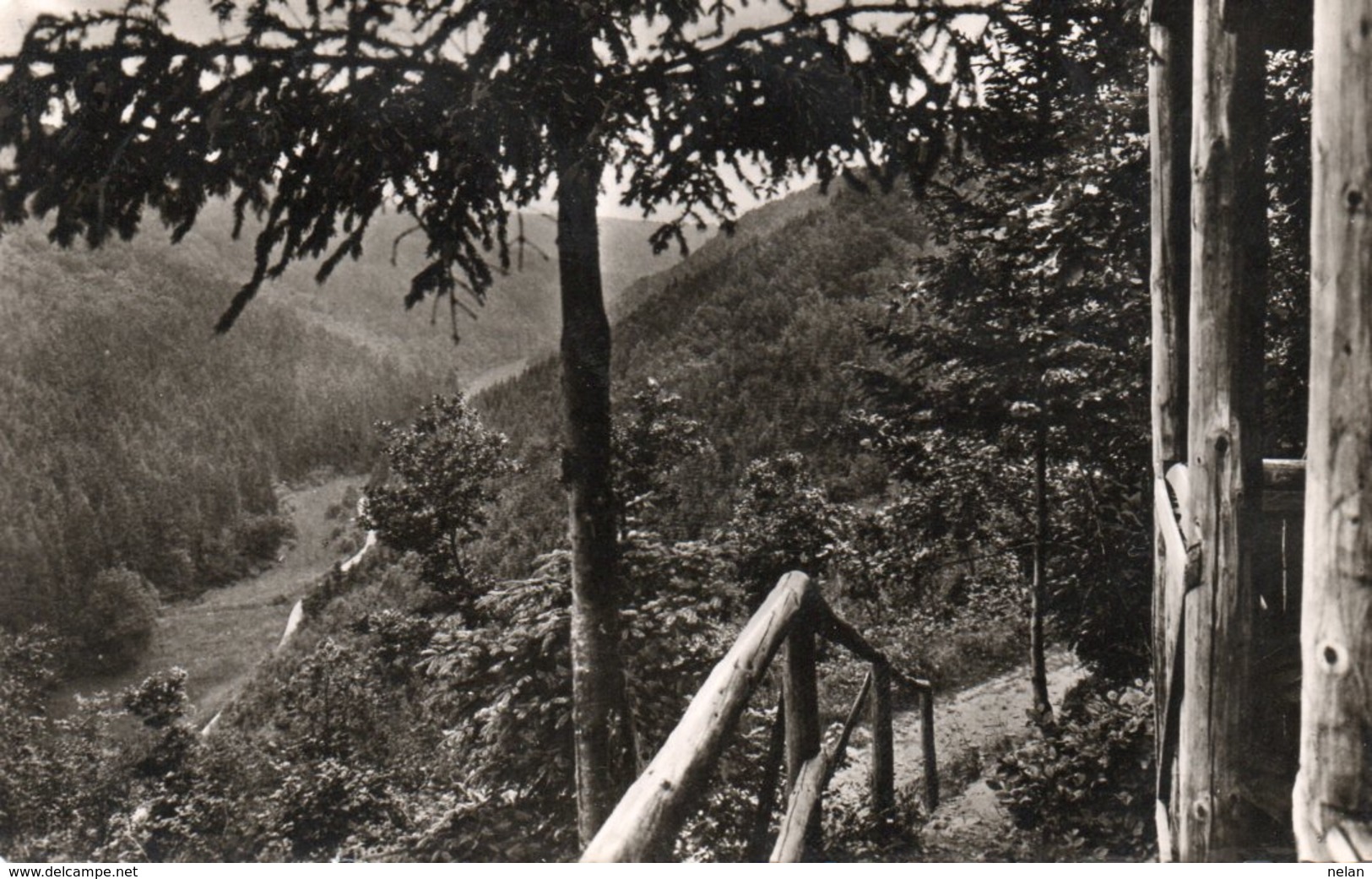 HOHR GRENZHAUSEN-FEISTERNACHTTAL-REAL PHOTO-1958 - Hoehr-Grenzhausen