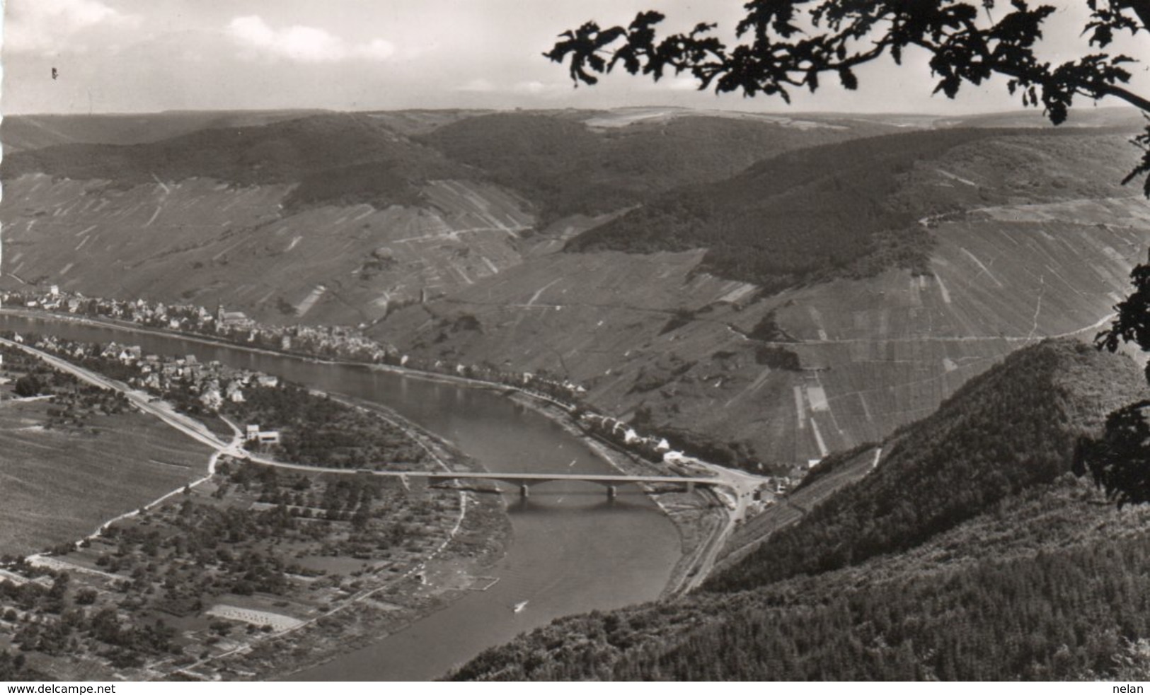 ZELL AN DER MOSEL-REAL PHOTO-1958 - Zell