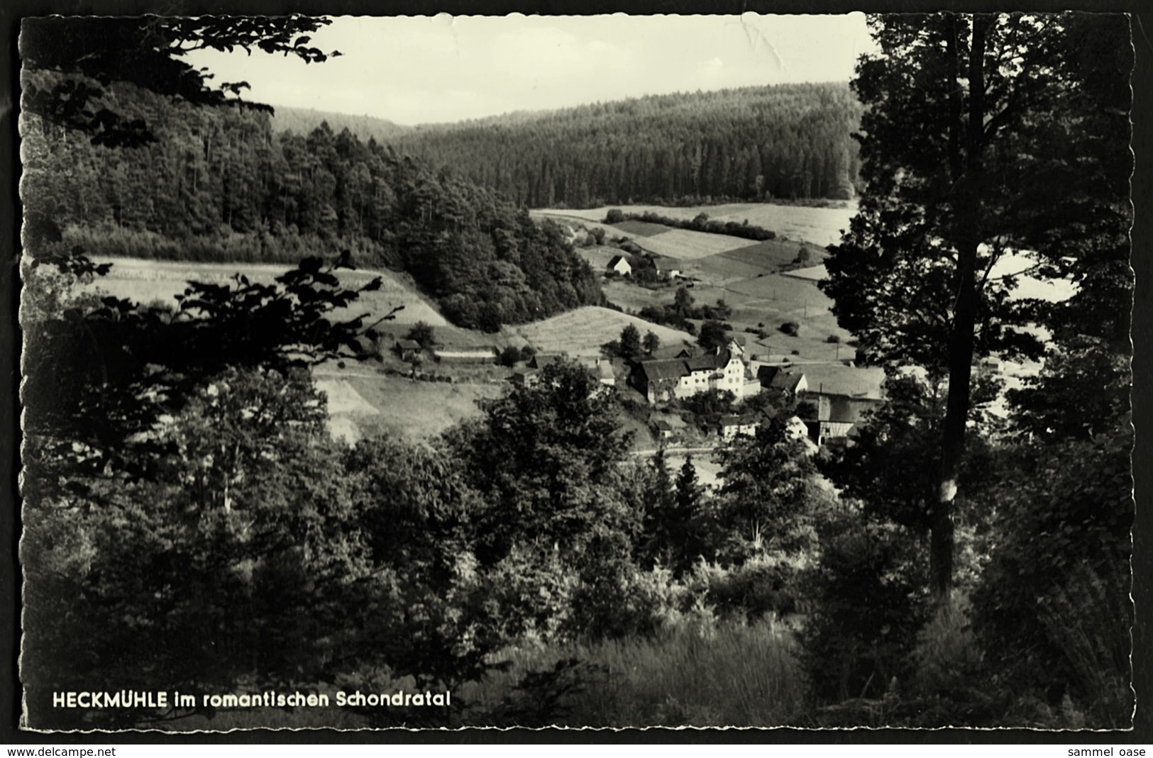 Heckmühle Im Schondratal  -  Bei Gmünden / Main  -  Ansichtskarte Ca.1955    (12945) - Gemuenden