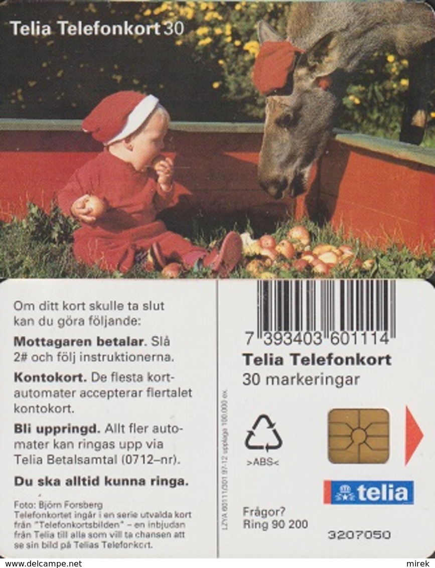 602/ Sweden; Baby And Elk - Schweden