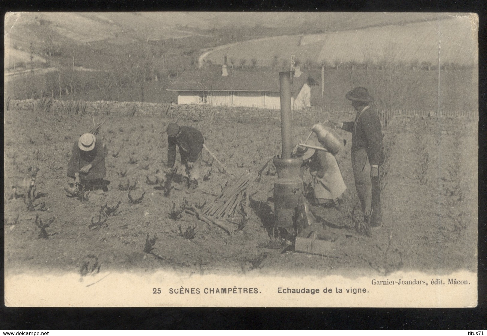 CPA Scènes Champêtres - Echaudage De La Vigne - Non Circulée - Autres & Non Classés