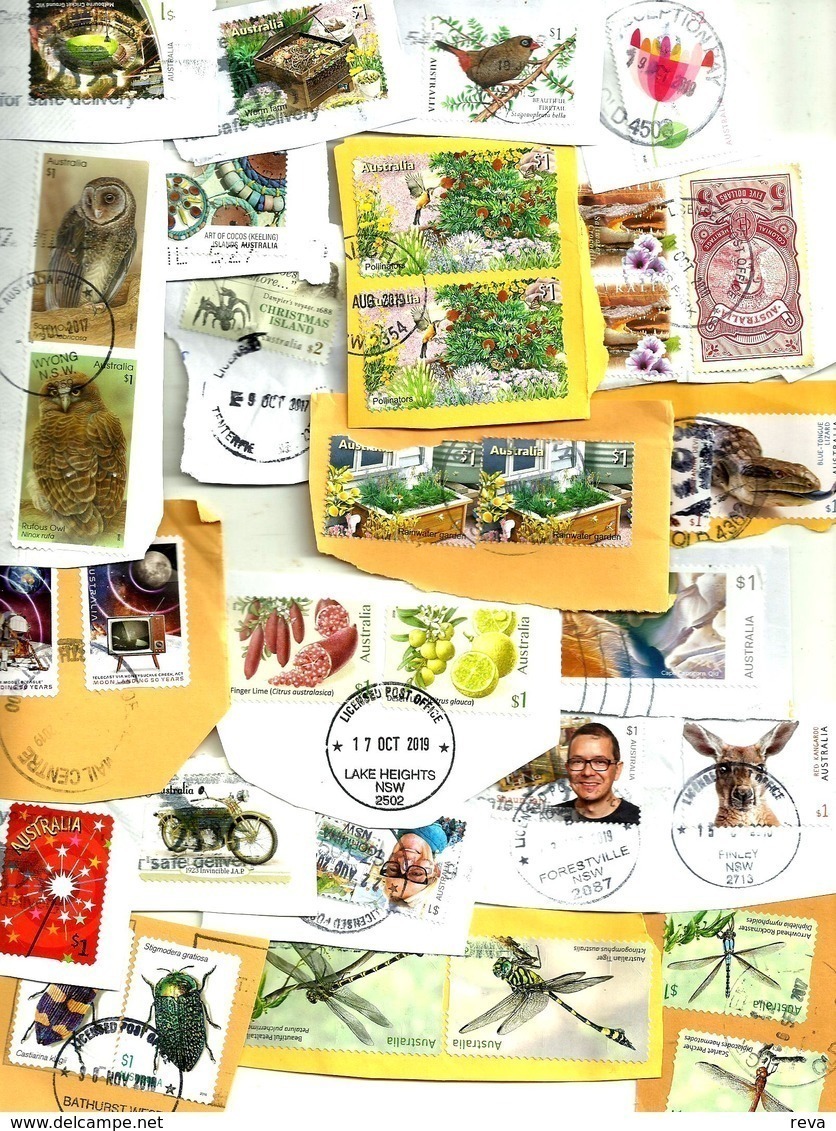 AUSTRALIA LOT4 MIXTURE OF50+USED STAMPS SOME 2000/19 INC 'FLOWER "$10,,,ETC READ DESCRIPTION!! - Usati