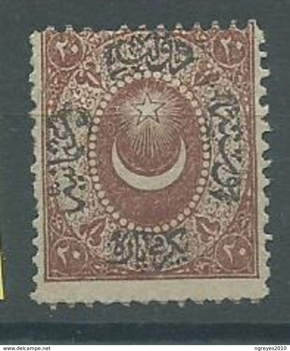 200035313  TURQUIA  YVERT  TAXE  Nº   1  */MH - Timbres-taxe