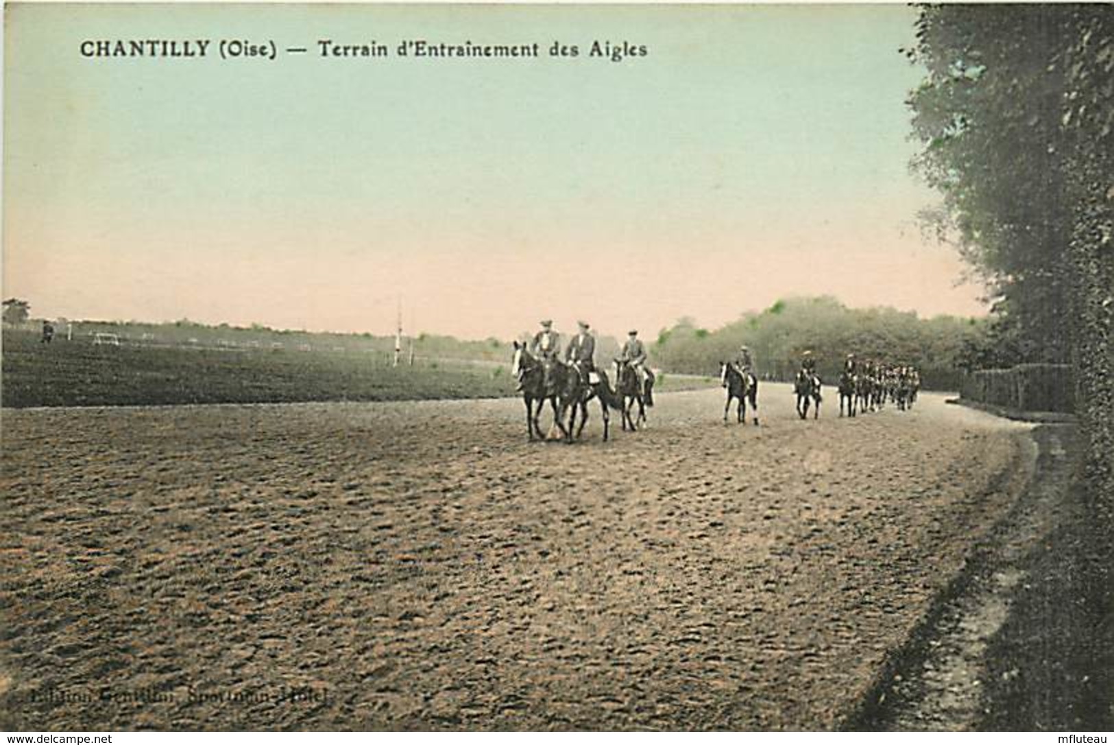 60* CHANTILLY Entrainement Des Aigles   MA105,0822 - Chantilly