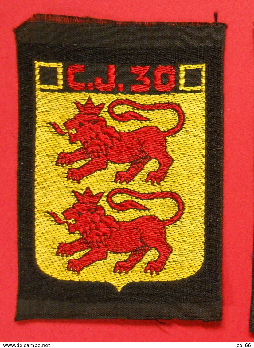 Ww2 écusson CJ 30 Chantiers De Jeunesse "Foch" à St Pé De Bigorre (65) "Travailler C'est Vouloir En Lettre Suivie/FR CJF - Patches