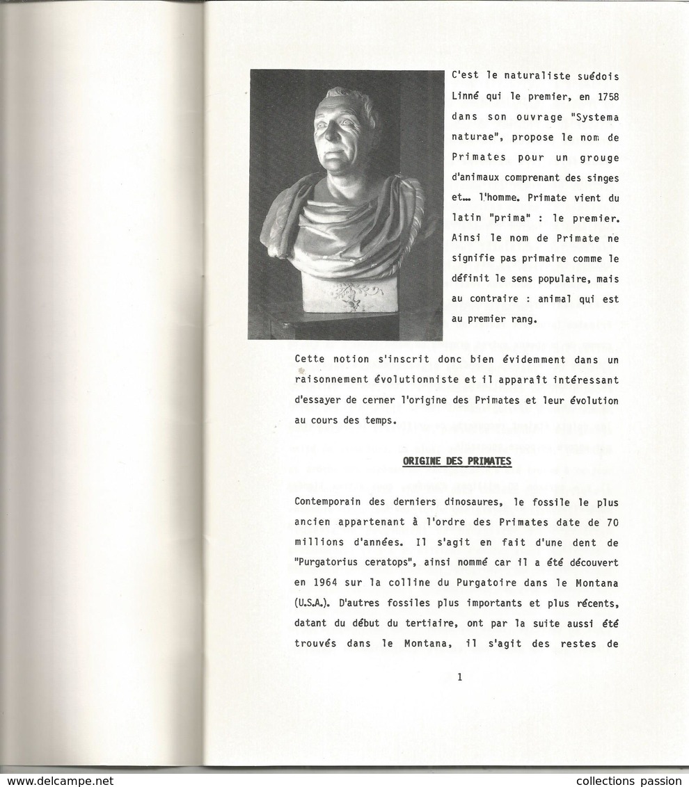 Animaux ,LES LEMURIENS MALGACHES , Muséum National D'histoire Naturelle , 32 Pages  , Frais Fr 2.75 E - Animali