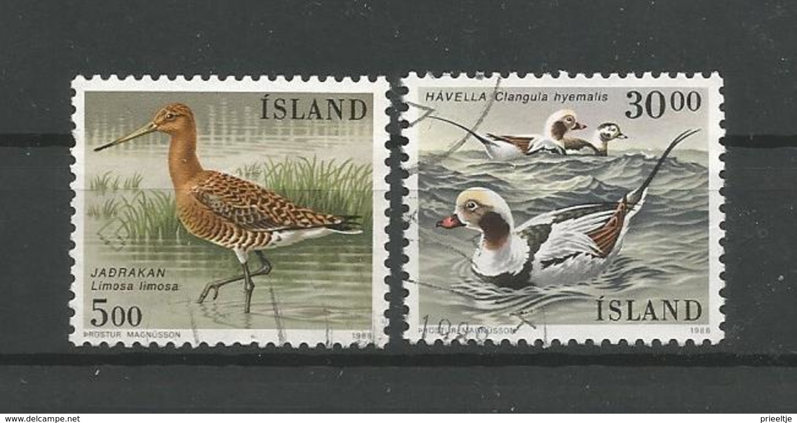 Iceland 1988 Ducks Y.T. 644/645 (0) - Gebraucht