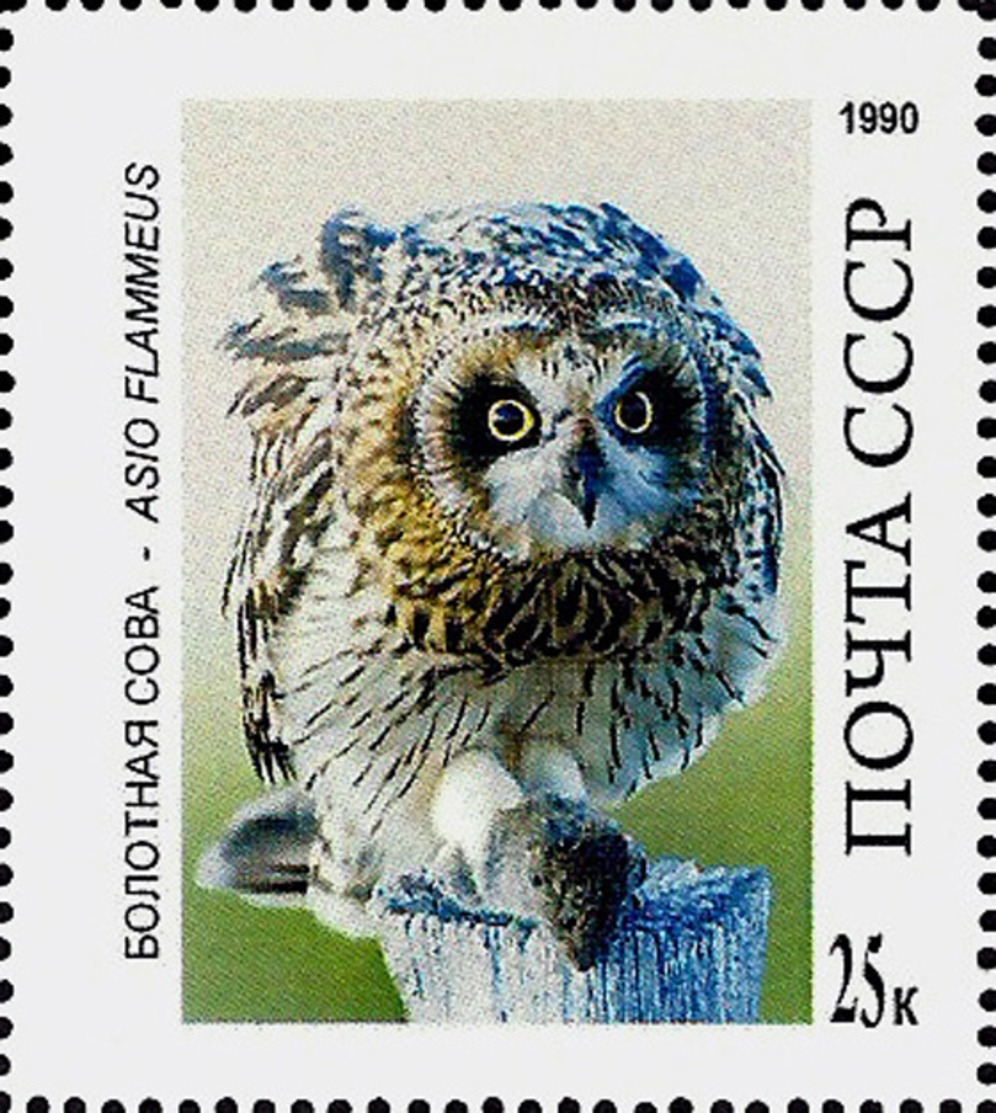 USSR Essay?? -  OWL – ASIO FLAMMEUS   -1 Stamp - Gufi E Civette