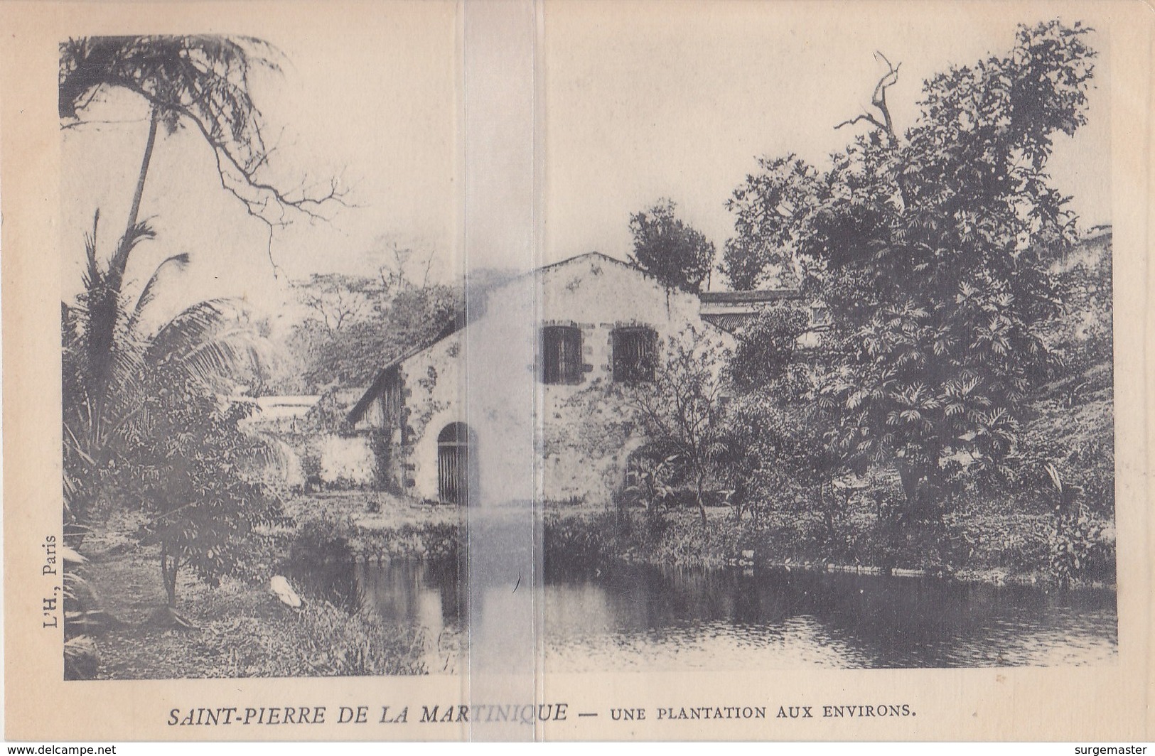 CPA SAINT-PIERRE-DE-LA-MARTINIQUE  UNE PLANTATION - Sonstige & Ohne Zuordnung