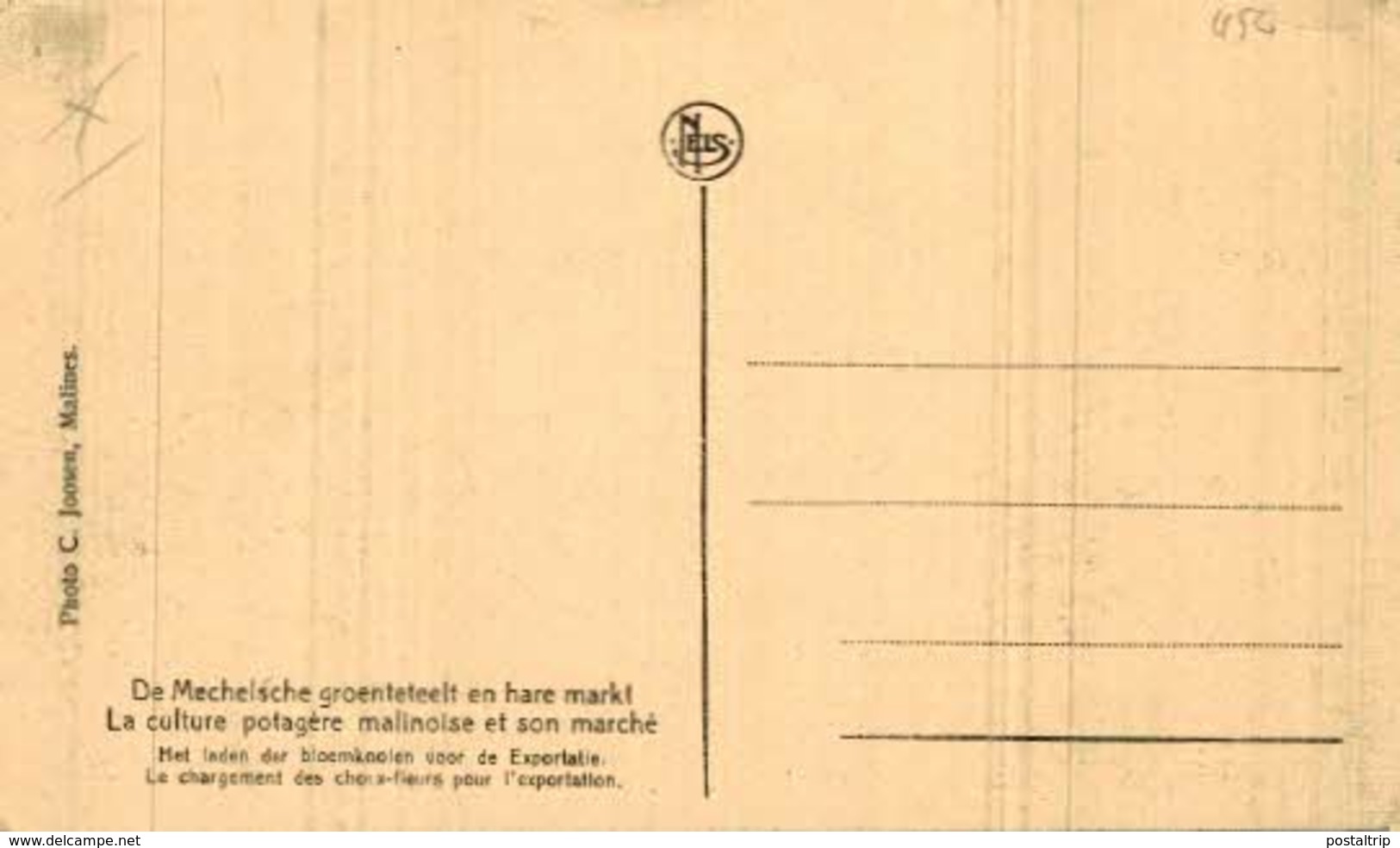 De Mechelsche Groenteteelt En Hare Markt.   MECHELEN MALINES ANTWERPEN ANVERS - Mechelen