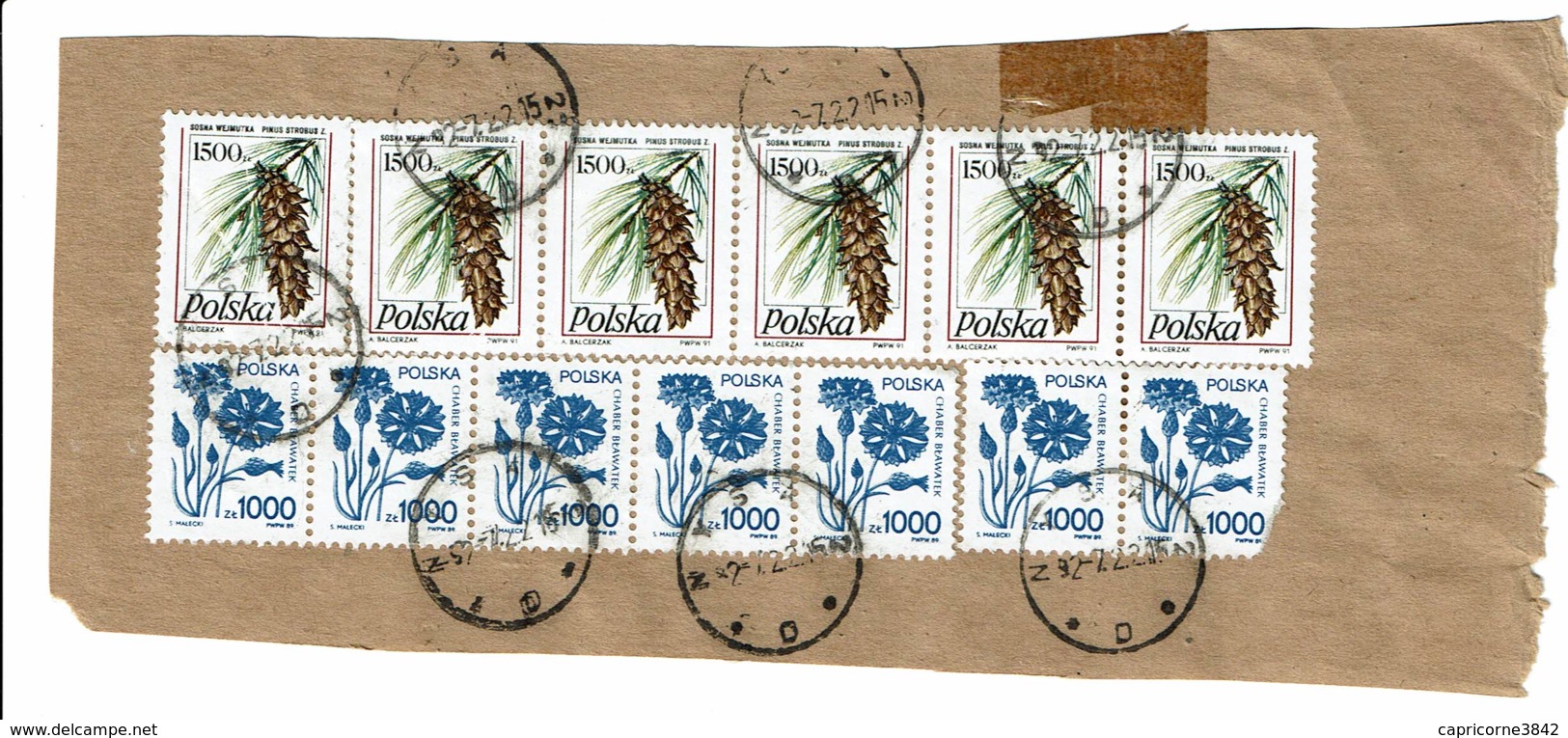 1992 - 6 Timbres Pommes De Pin (Pinus Strobus) Et 7 Tp Fleurs (Chaber Beawatek) - Sur Fragment - Gebruikt