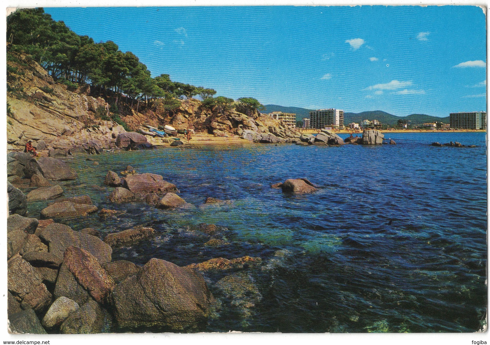 IC96   Spain 1974 Postcard Alamo (Gerona) To Italy - Reptiles 5pt Mi.Nr.2089 - Covers & Documents