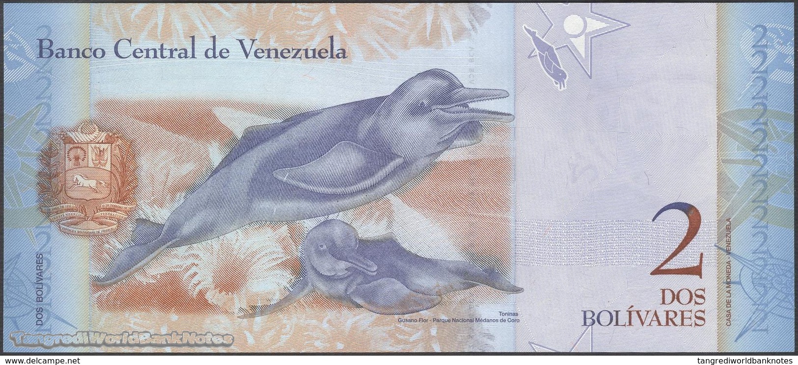 TWN - VENEZUELA 88a - 2 Bolivares 20.3.2007 Prefix C UNC - Venezuela