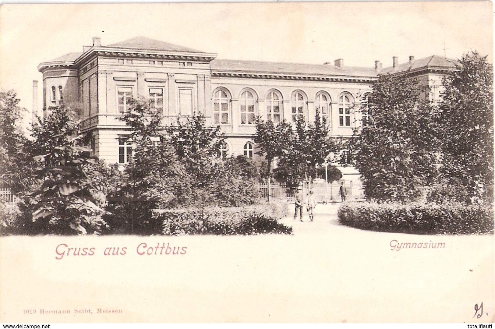 Gruss Aus COTTBUS Gymnasium Belebt Ungeteilte Adressrückseite 1905 Oder Früher - Cottbus