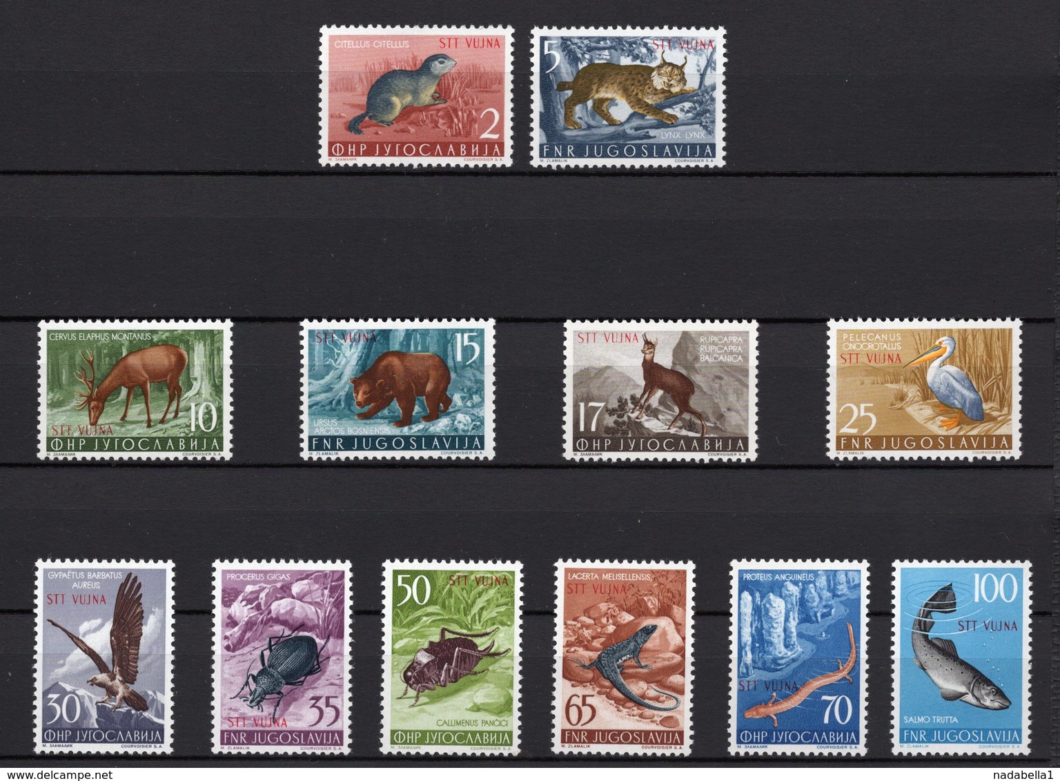 1954 FNRJ, YUGOSLAVIA, STT-VUJA,ANIMALS,SET OF 12,MNH - Unused Stamps