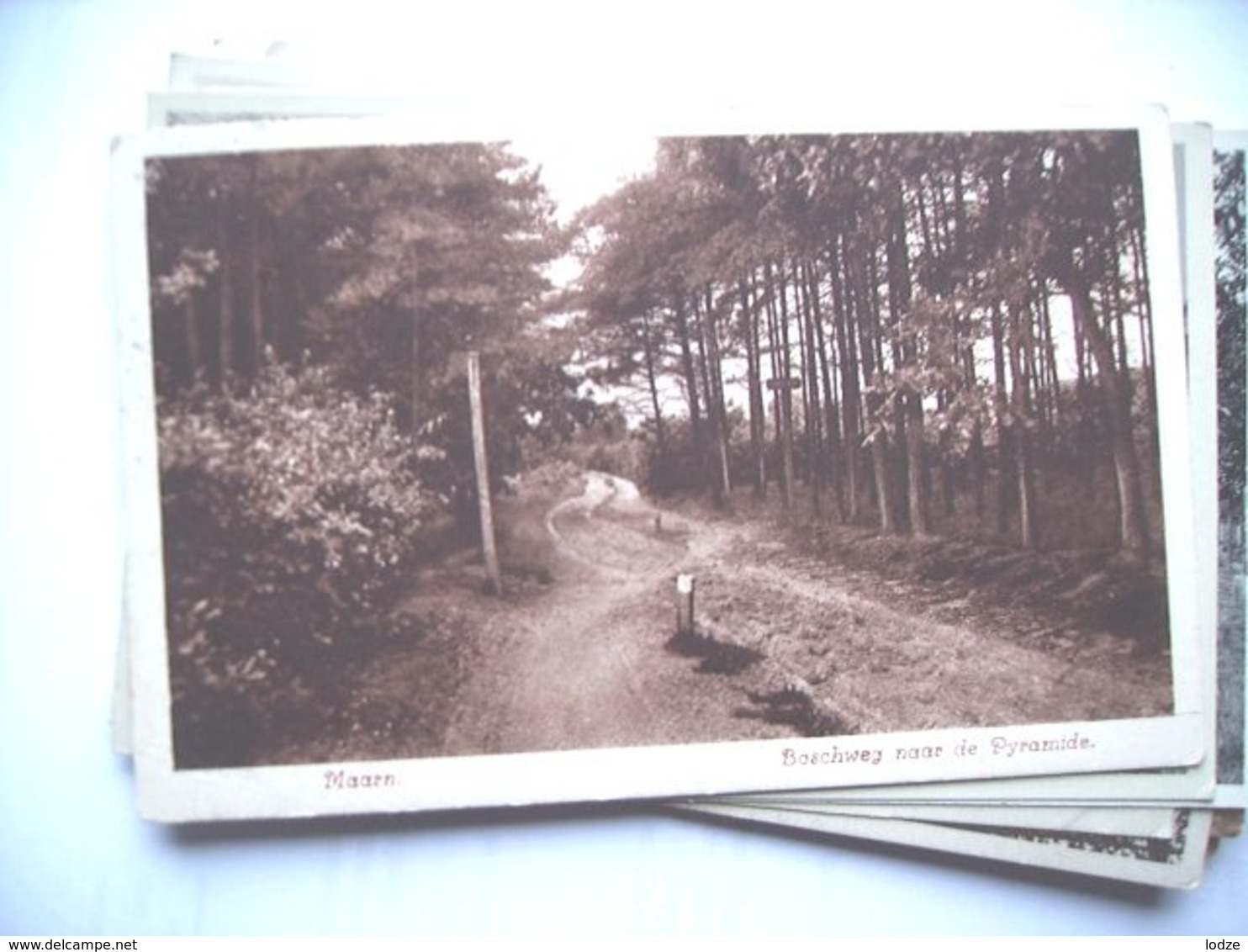 Nederland Holland Pays Bas Maarn Met Pad Door Het Bos - Maarn