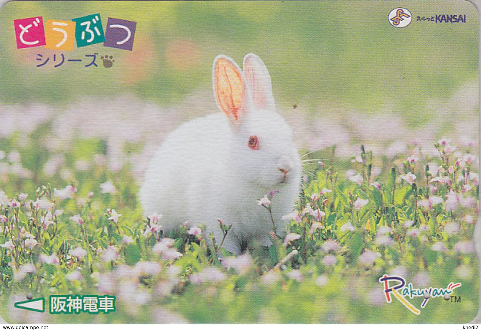 Rare Carte Prépayée JAPON / Série Animaux Rakuyan - ANIMAL - LAPIN ALBINOS - RABBIT JAPAN Prepaid - KANINCHEN - 312 - Lapins