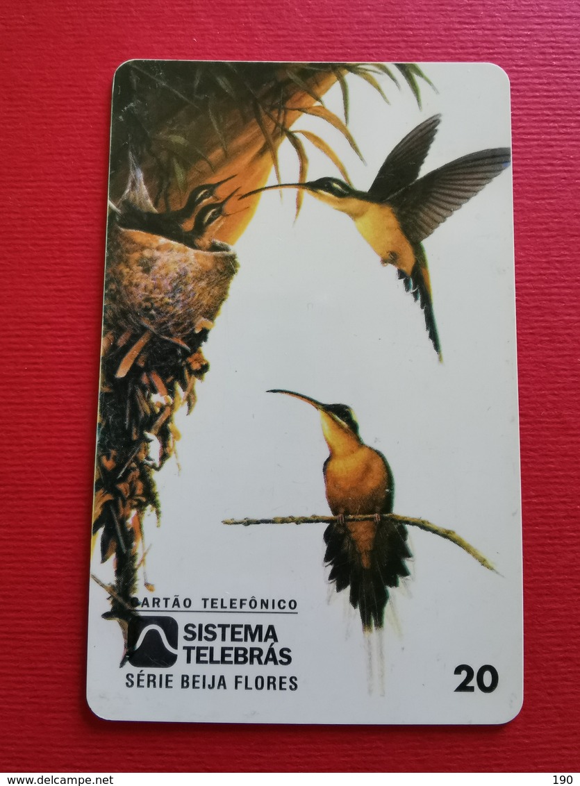 20 Units - Pájaros Cantores (Passeri)