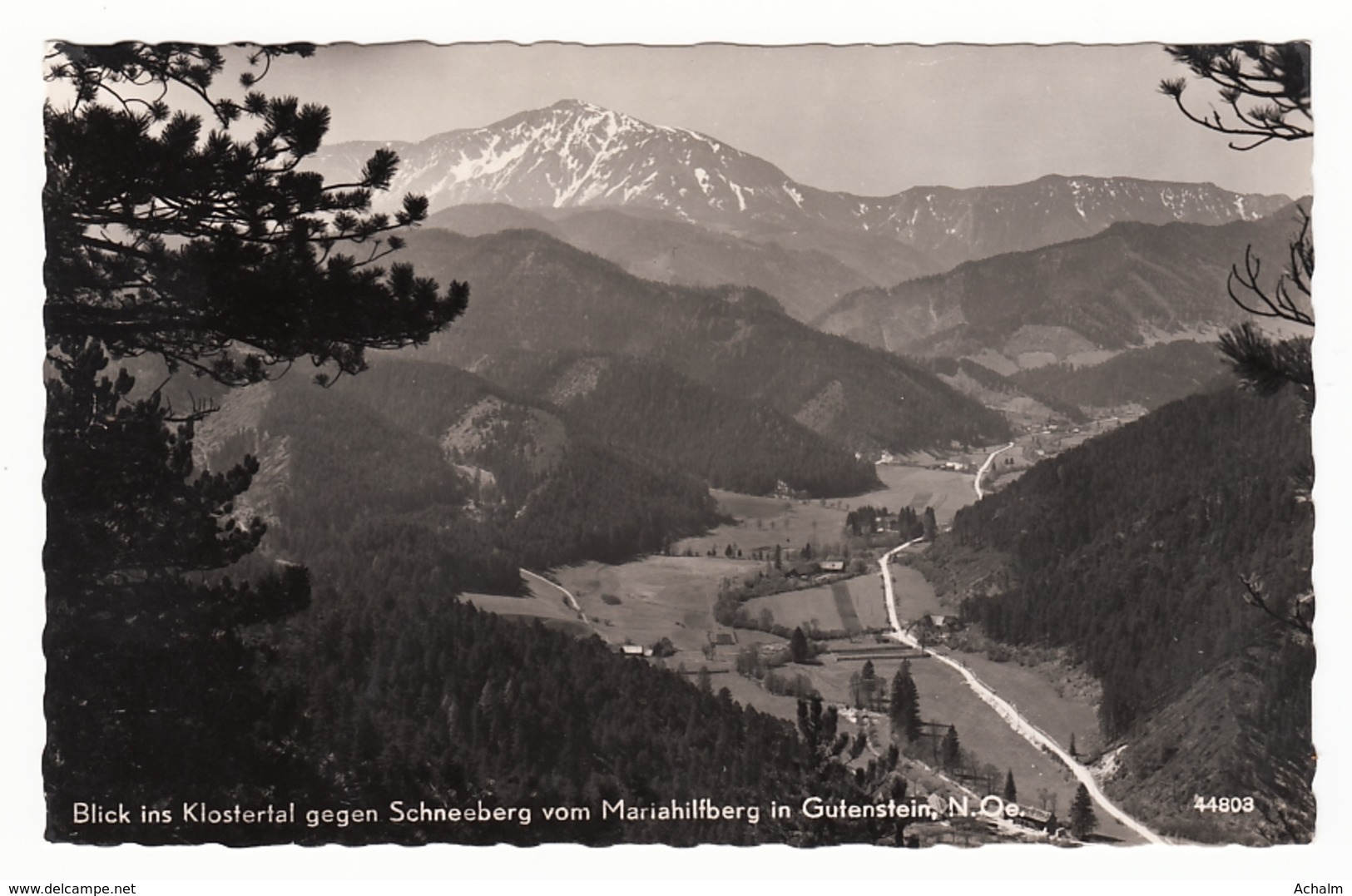 Blick Ins Klostertal Gegen Schneeberg Vom Mariahilfberg In Gutenstein - Gutenstein