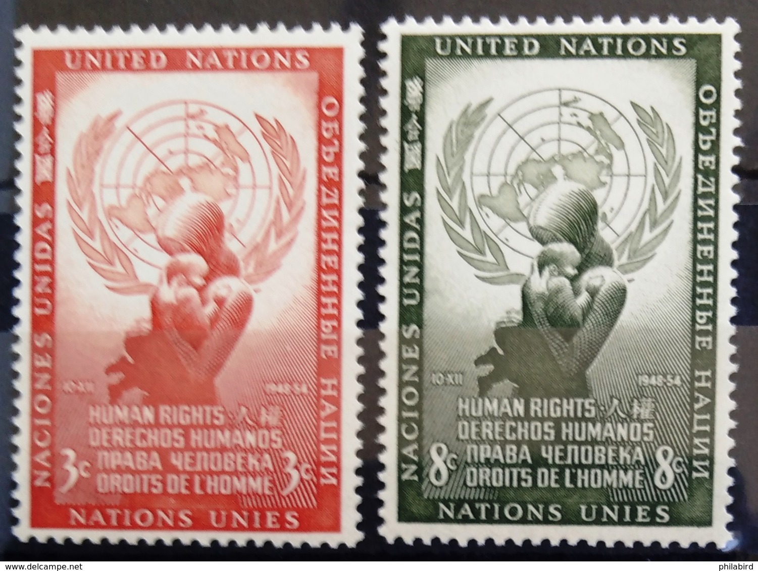 NATIONS-UNIS  NEW YORK                   N° 29/30                      NEUF* - Unused Stamps