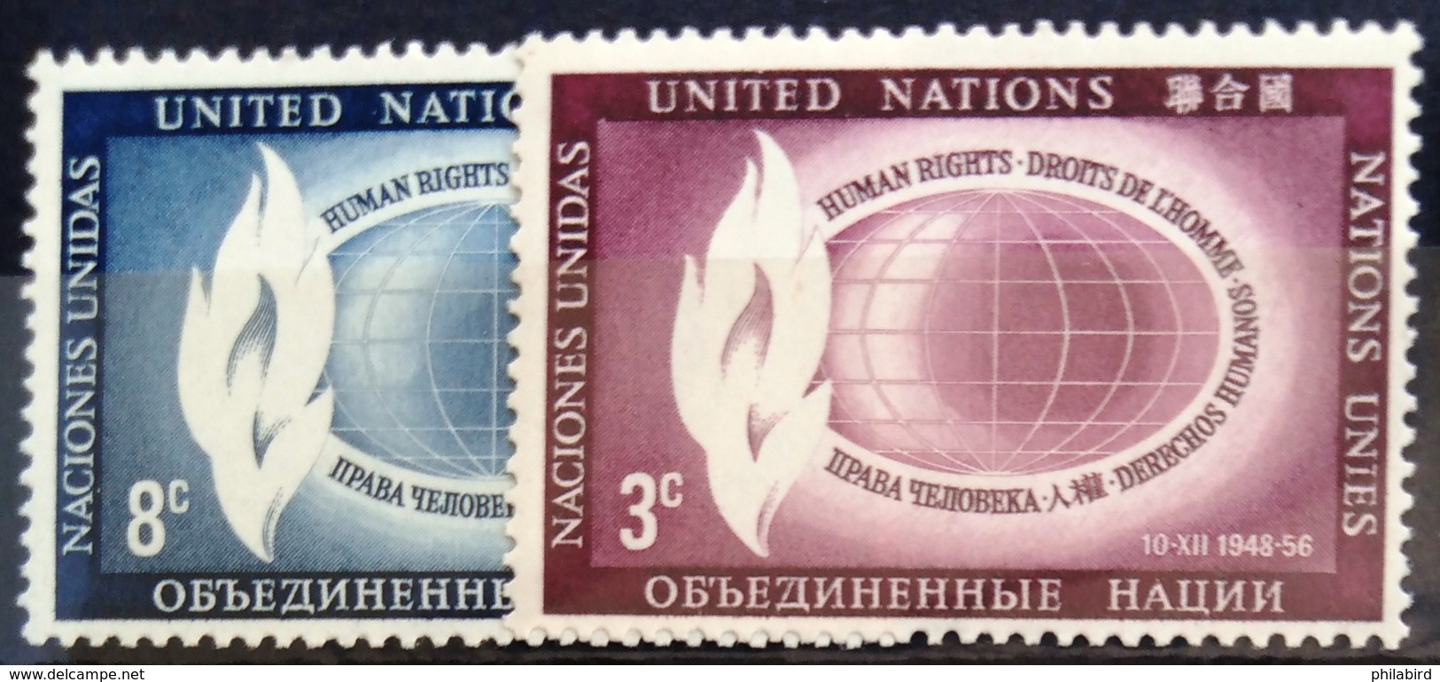 NATIONS-UNIS  NEW YORK                   N° 46/47                      NEUF* - Unused Stamps