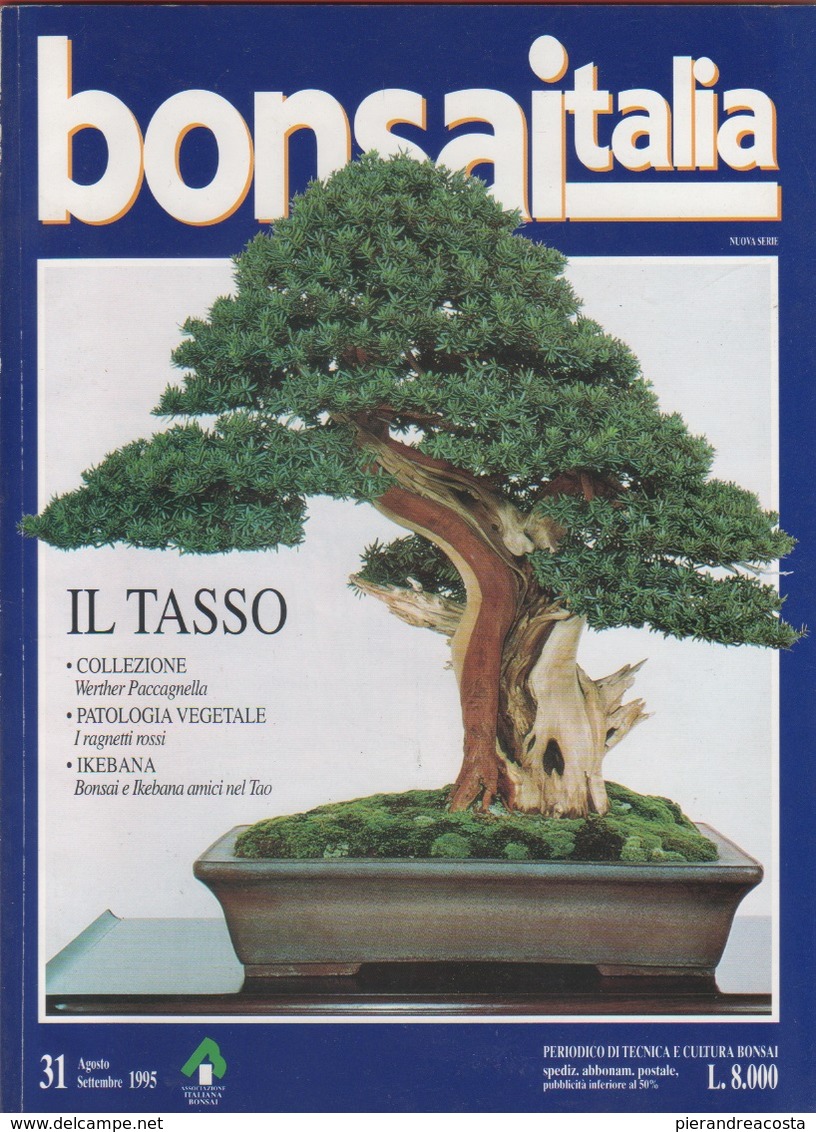 Bonsai Italia. N. 31. Agosto/settembre 1995 - Maison, Jardin, Cuisine