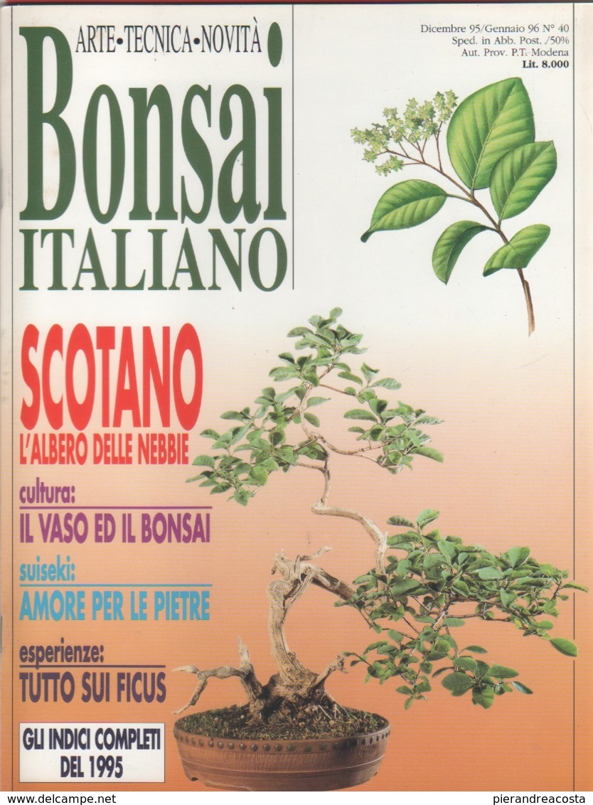 Bonsai Italiano. N. 40.  Dicembre 1995/gennaio 1996 - Maison, Jardin, Cuisine