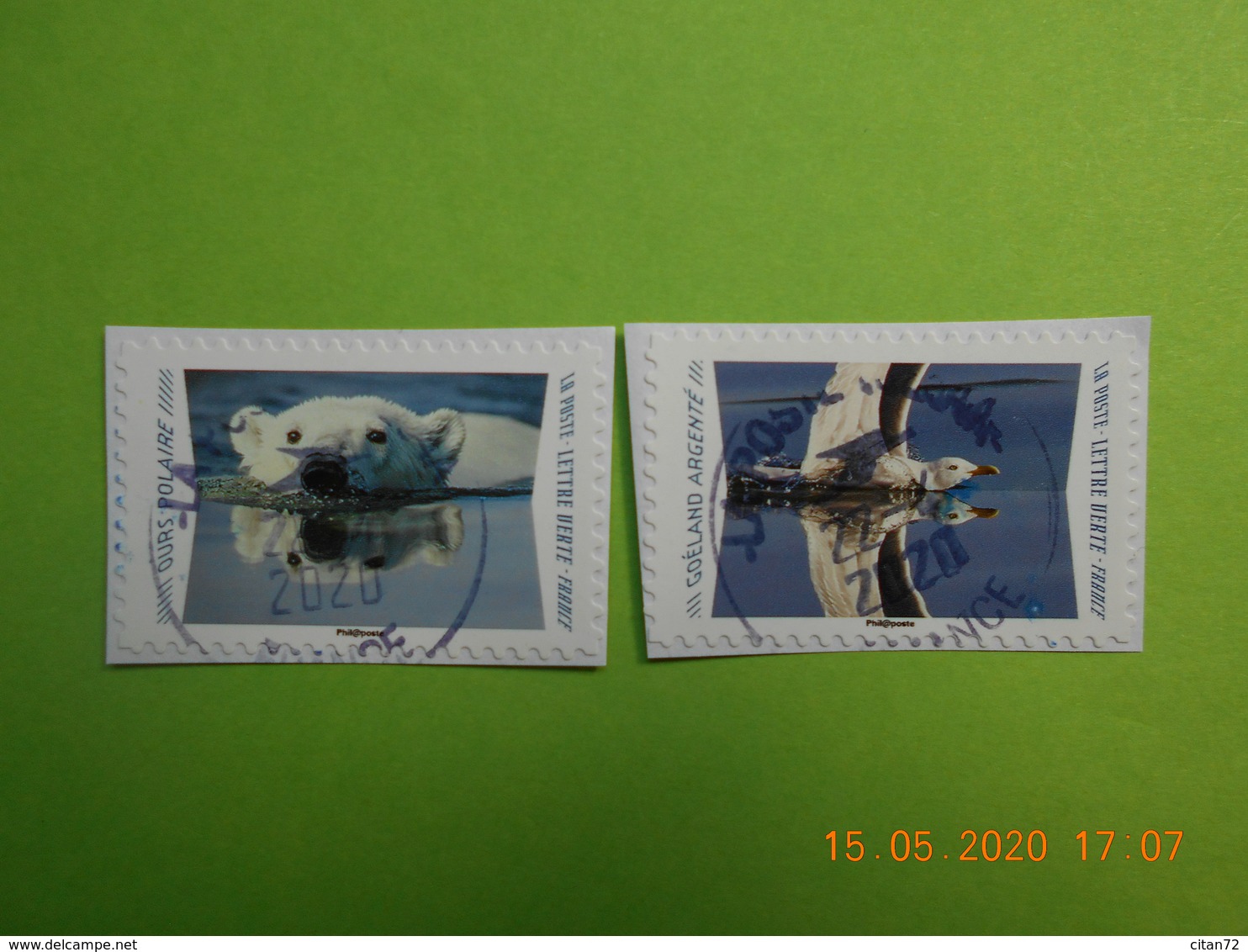 FRANCE 2020  CL033  DU  CARNET  ANIMAUX  DU  MONDE  (2 Timbres)    Cachets  RONDS    ( A Voyagé) - Used Stamps