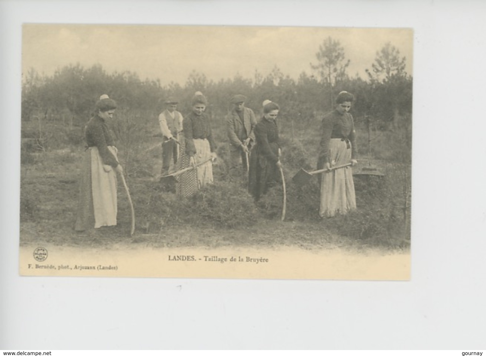 Landes Métier : Taillage De La Bruyère  - C'était La France N°464 Cp Vierge - Sonstige & Ohne Zuordnung