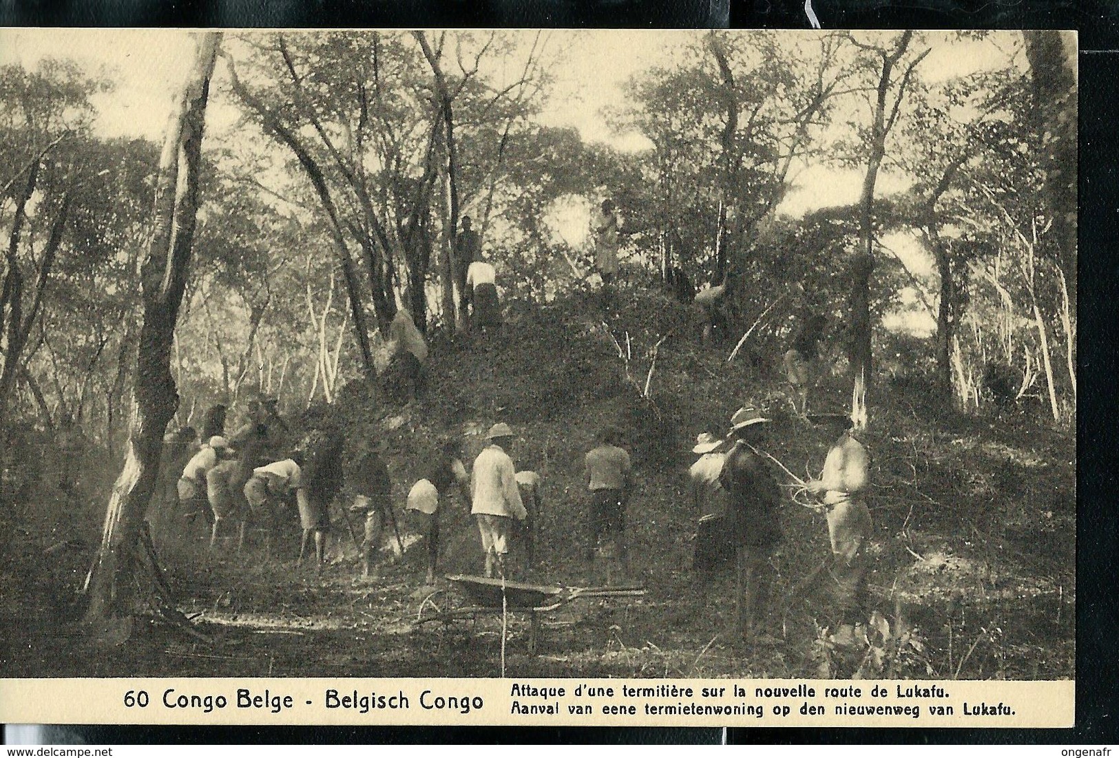 Carte Neuve N° 52. Vue: 60. Attaque D'une Termitière Sur La Nouvelle Route De Lukafu. - Entiers Postaux