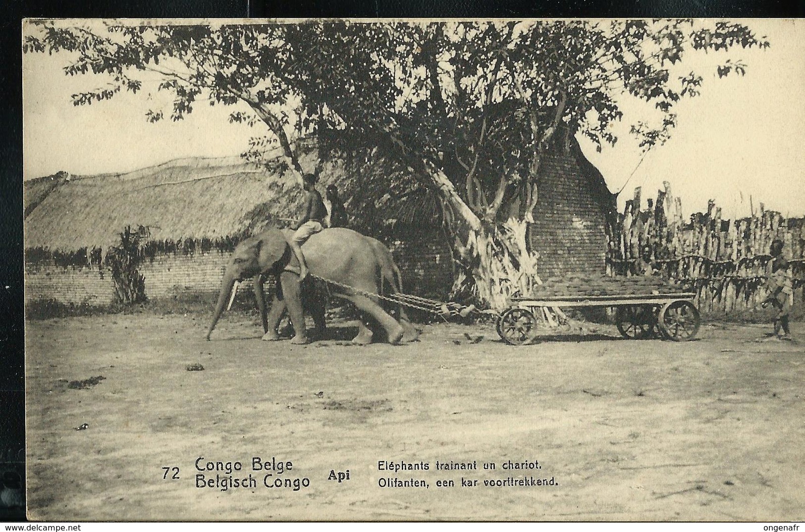 Carte Neuve N° 42. Vue: 72. API - Eléphants Trainant Un Chariot. - Entiers Postaux