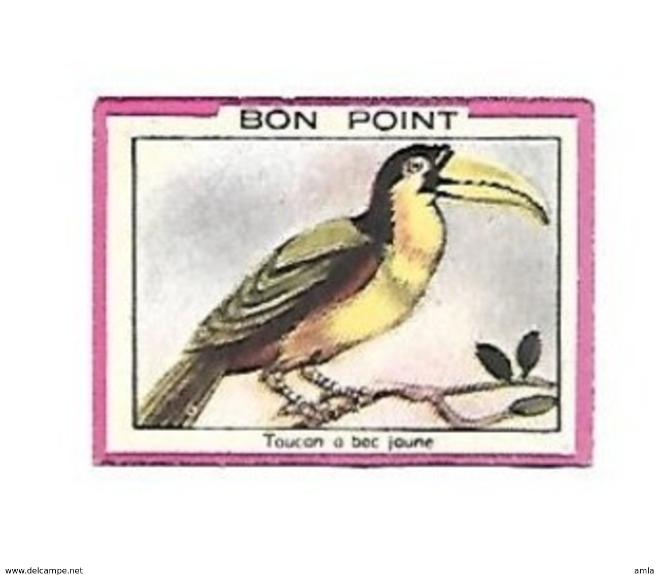 BON POINT BLEDINE DIASE CEREALE LAIT ALMA  .... TOUCAN A BEC JAUNE  .... - E