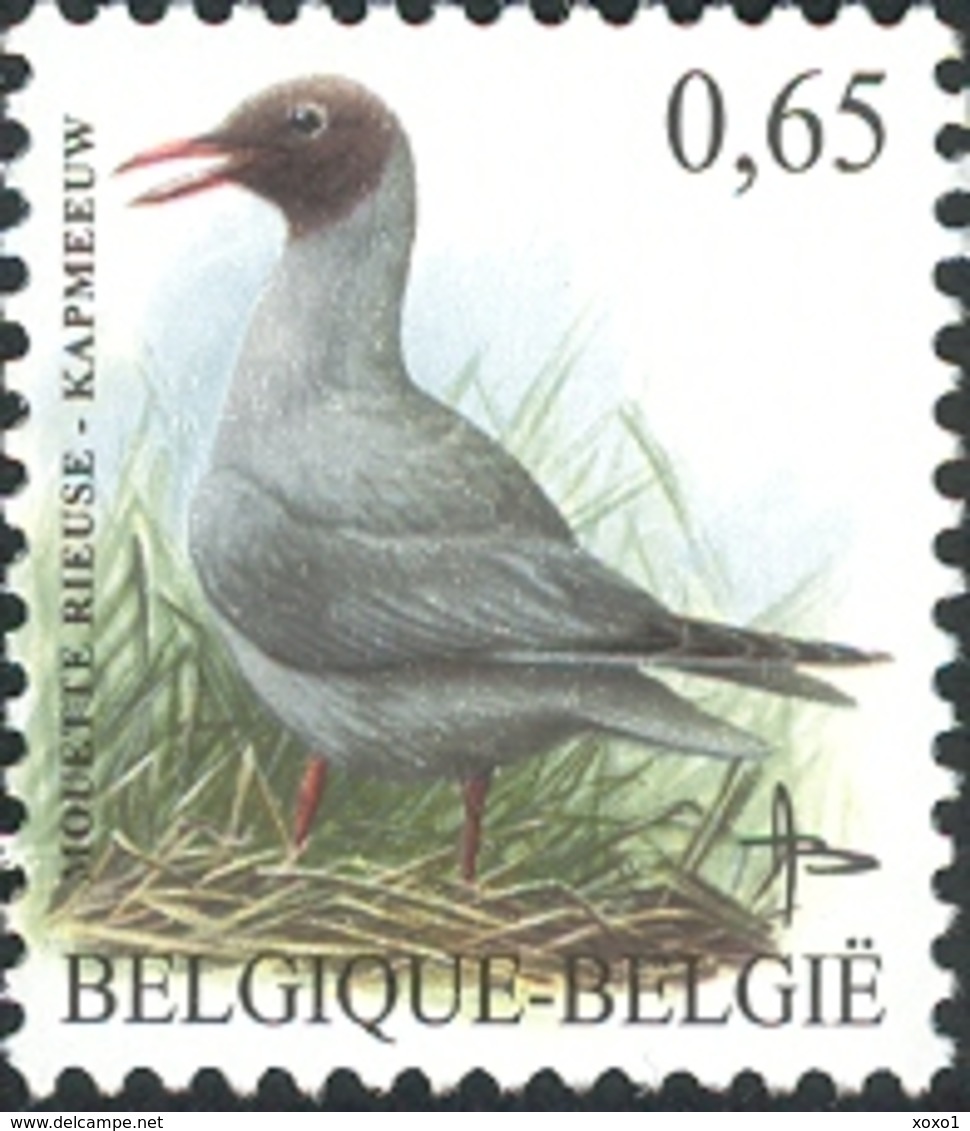 Belgium 2004 MiNr. 3320 Belgien Birds Buzin Black-headed Gull 1v  MNH**  1.80 € - Unused Stamps