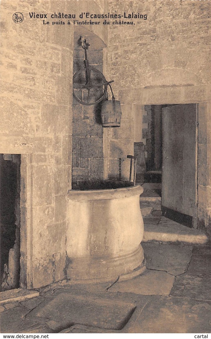 Vieux Château D' ECAUSSINES-LALAING - Le Puits à L'intérieur Du Château - Ecaussinnes