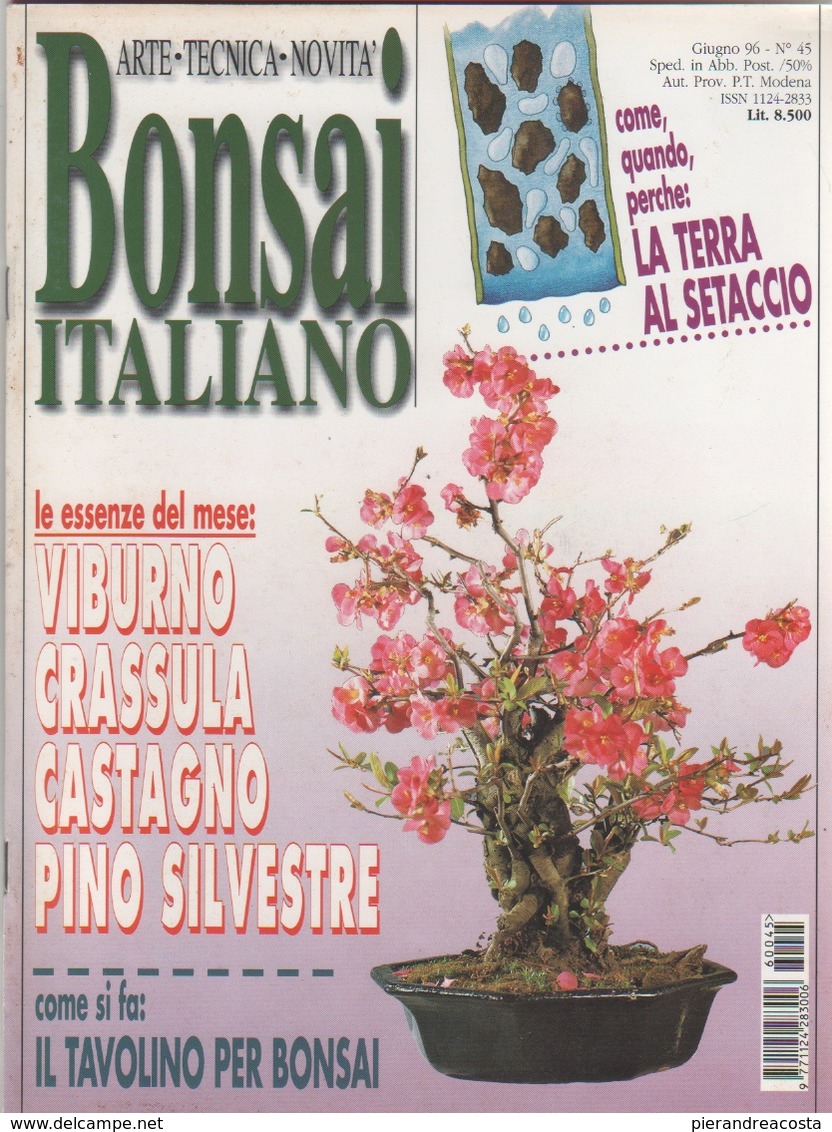 Bonsai Italiano. N. 45.  Giugno 1996 - Huis, Tuin, Keuken