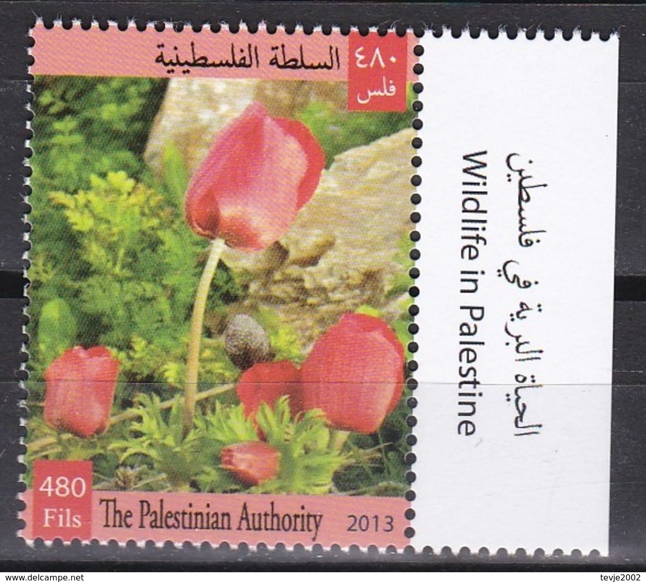 Palästina 2013 - Mi.Nr. 275 - Postfrisch MNH - Pflanzen Plants Blumen Flowers Mohn - Autres & Non Classés