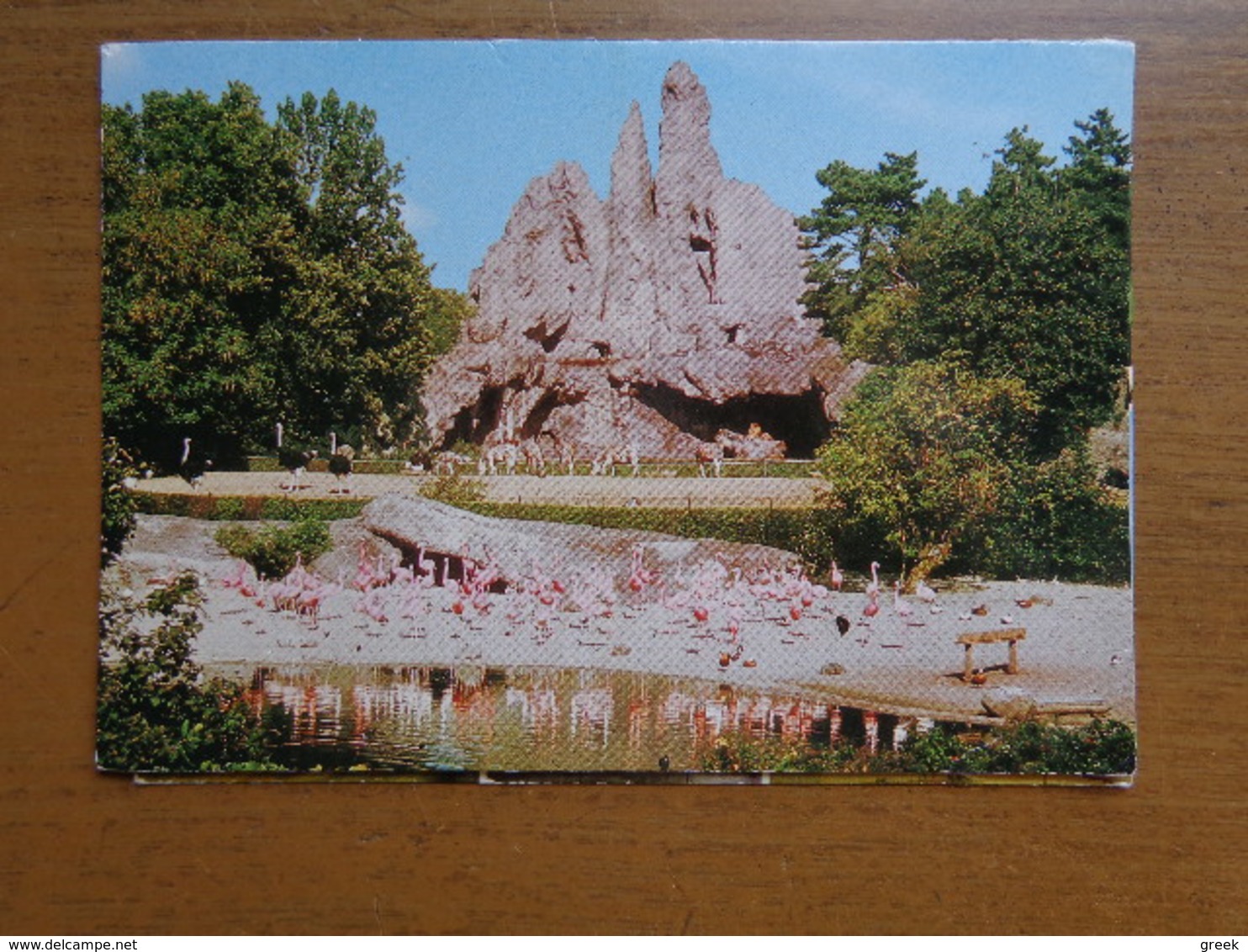 Zoo, Dierenpark / Carl Hagenbeck's Tierpark, Panorama (flamingo's, Struisvogels, Zebra) -> Unwritten - Pájaros