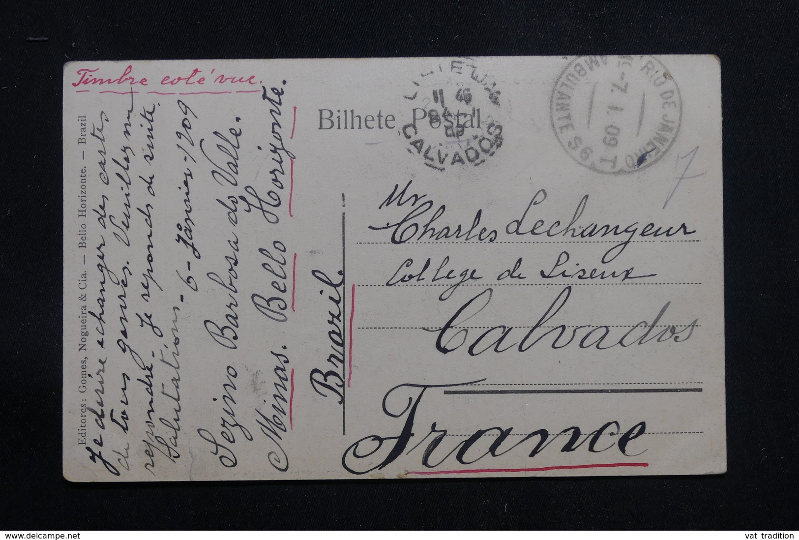 BRÉSIL - Affranchissement Plaisant Sur Carte Postale Pour La France En 1909 - L 60876 - Briefe U. Dokumente