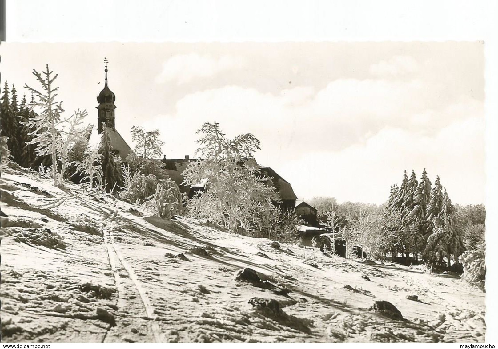 Winterpracht Der Rhoen Rhon - Rhön