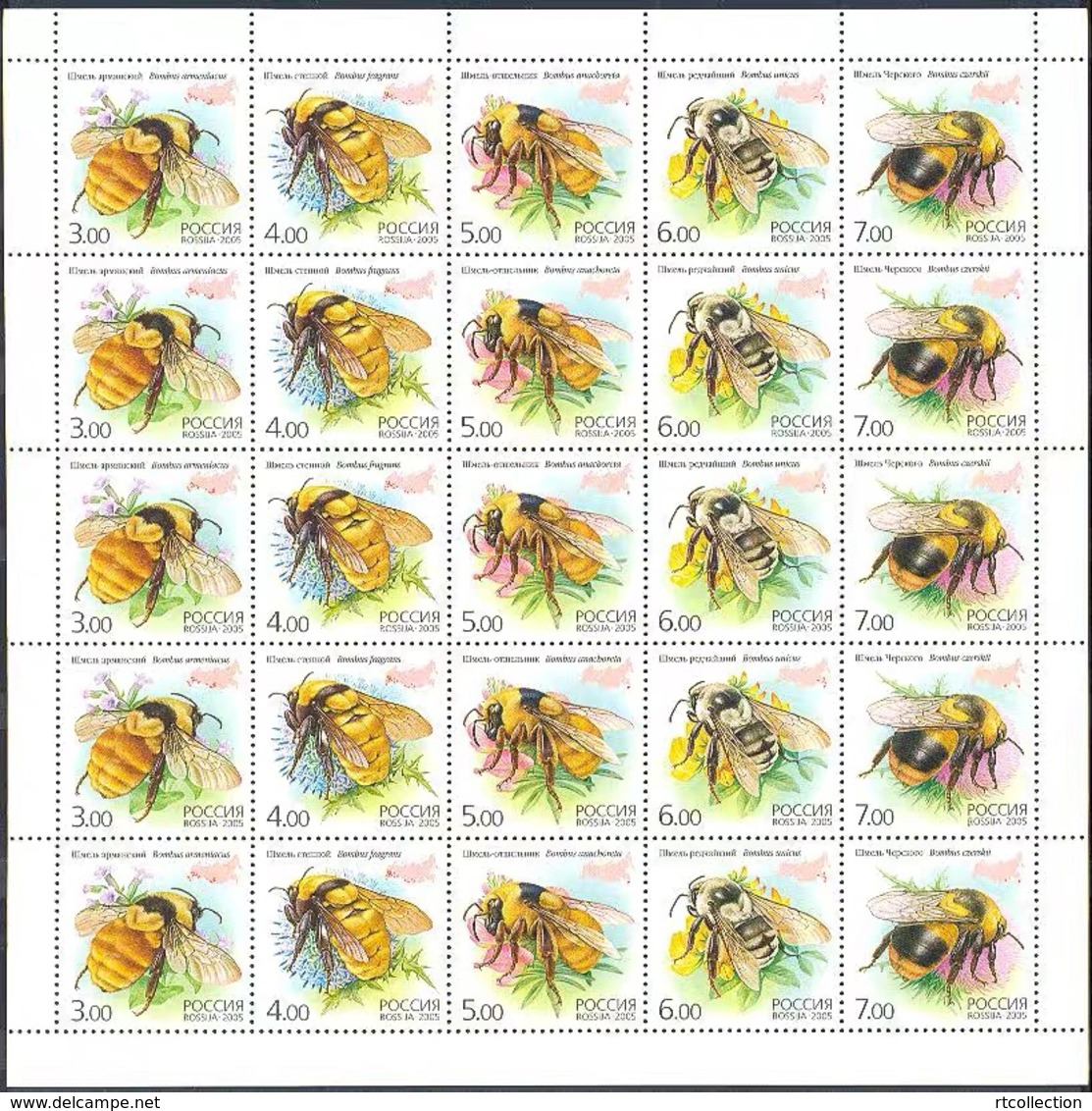 Russia 2005 One Sheet Of Insects Bumblebees Bee Insect Flowers Fauna Animals Nature Bombus Stamps Mi BL81 Sc 6912f - Hojas Completas