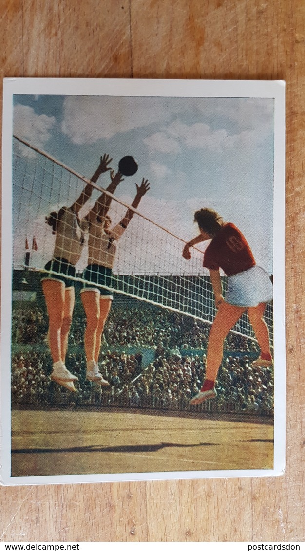 Old USSR Postcard - VOLLEYBALL- Sport Serie - 19556- Rare Edition! - Volleyball