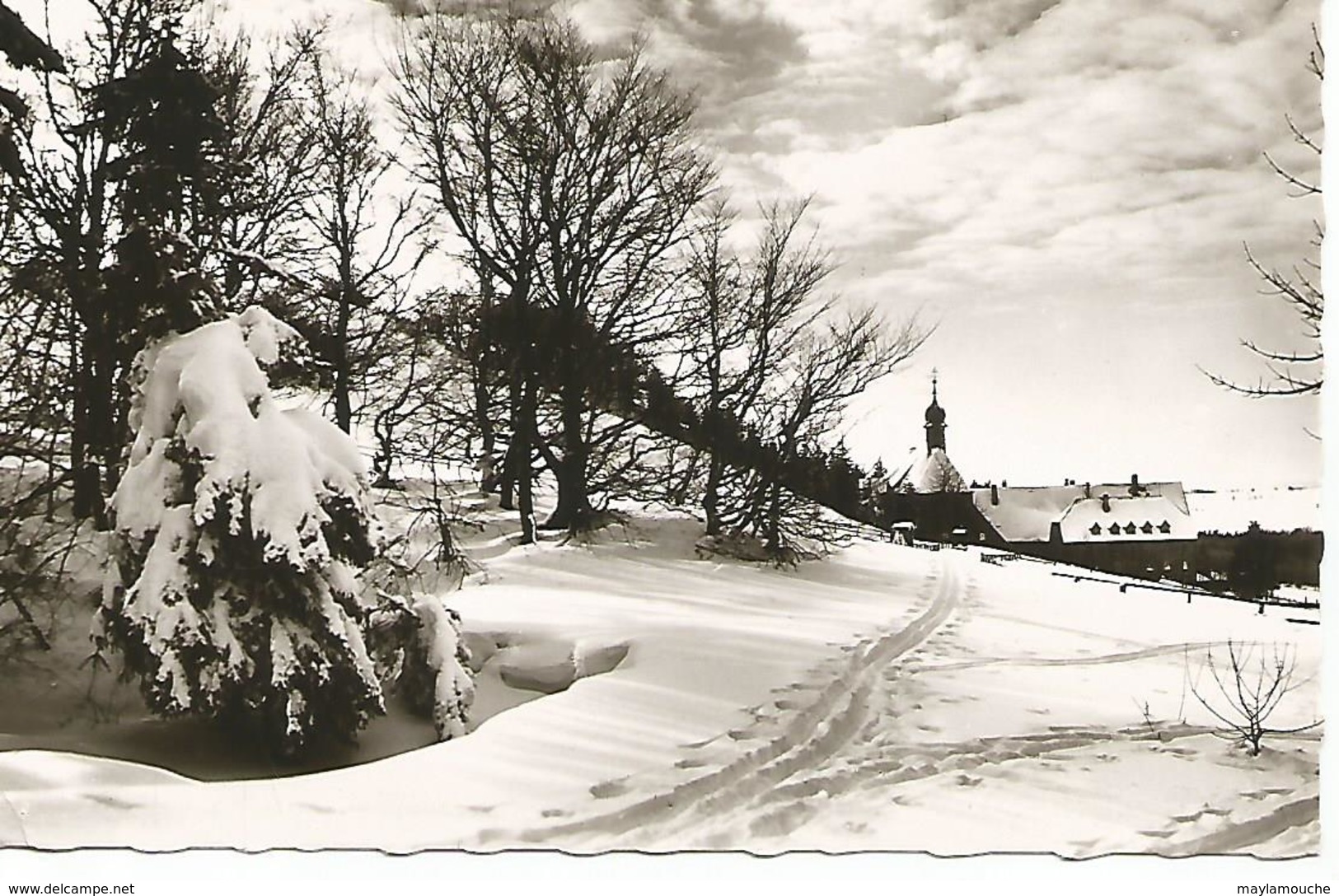 Winterpracht Der Rhoen Rhon - Rhön