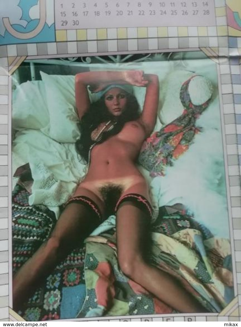 Rare Penthouse 1975 wall chart calendar and rare poster on back - double sided - nude