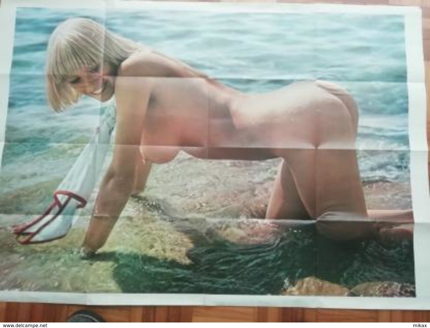 Rare Penthouse 1975 wall chart calendar and rare poster on back - double sided - nude