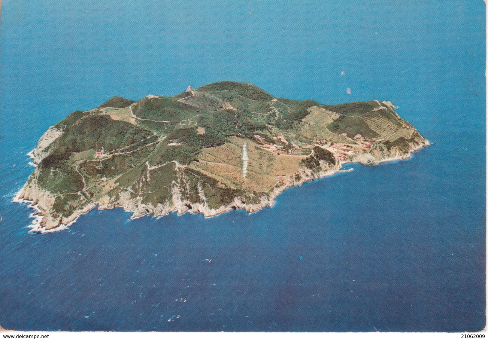 ISOLA DELLA GORGONA - PANORAMA - VIAGGIATA 1980 - Other & Unclassified