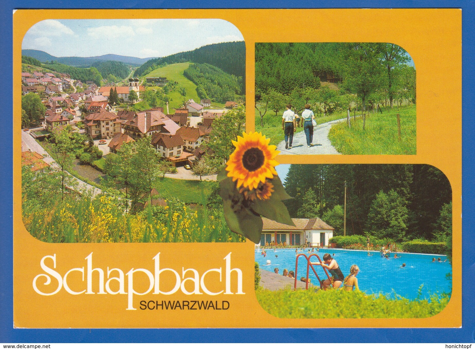 Deutschland; Bad Rippoldsau-Schapbach; Schapbach; Multibildkarte - Bad Rippoldsau - Schapbach