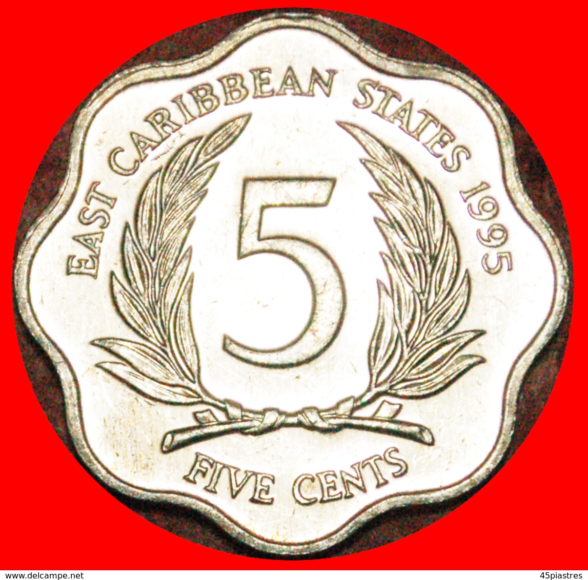 · SCALLOPED (1981-2000): EAST CARIBBEAN TERRITORIES ★ 5 CENTS 1995 MINT LUSTER! LOW START ★ NO RESERVE! - Caribe Oriental (Estados Del)