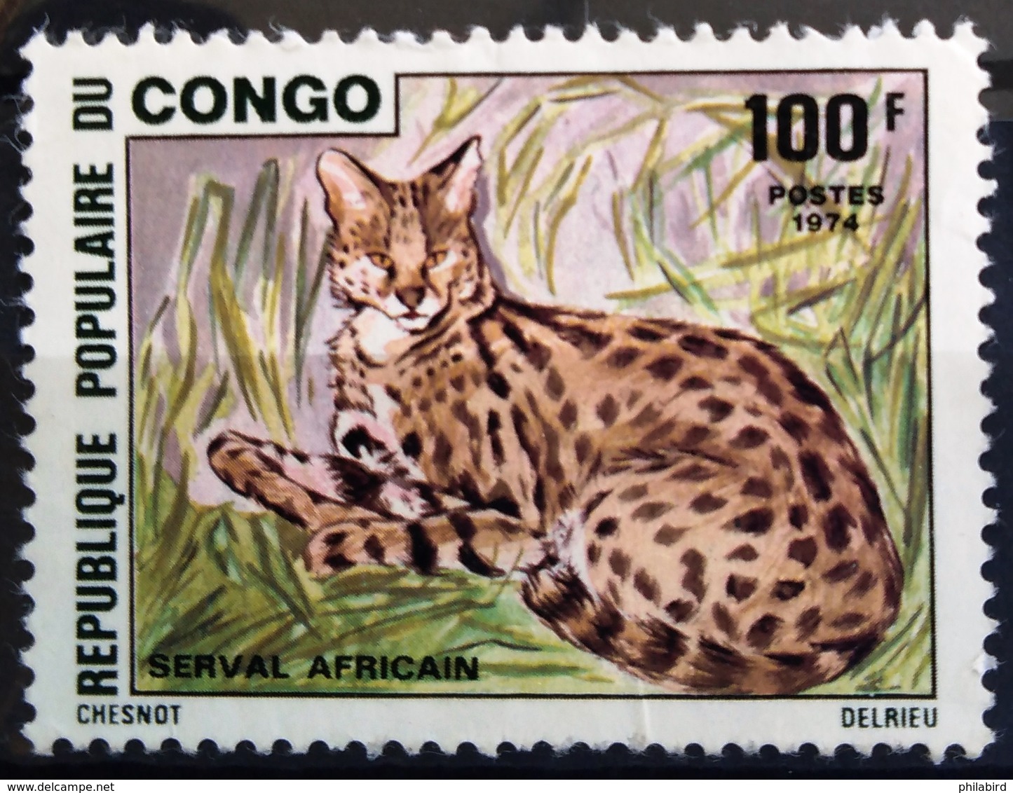 CONGO                    N° 354                  OBLITERE - Used