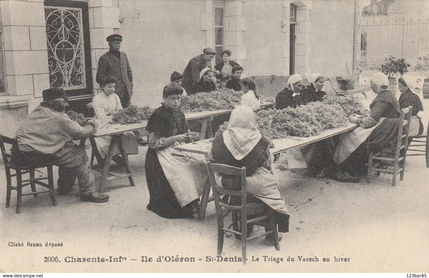 Ile D'OLERON  ST Denis - Le Triage Du Varech En Hiver - Ile D'Oléron